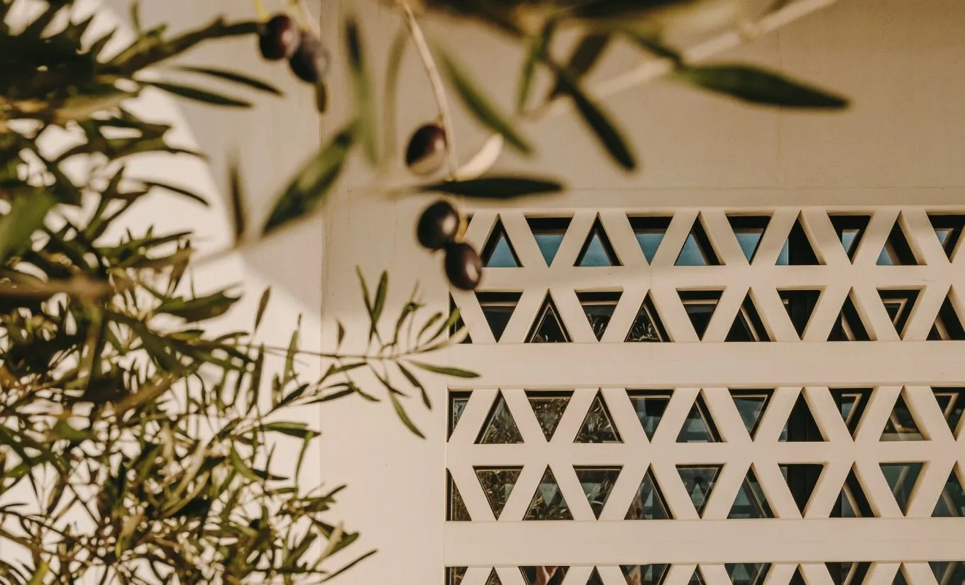 Kalesma-Mykonos--Architectural-Details-Closeups_©Salva-Lopez-8.jpg