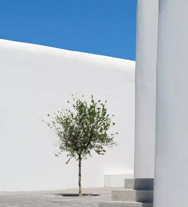 Kalesma_Mykonos_57-1.jpg