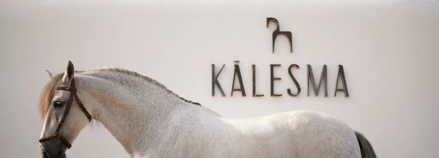 KalesmaMykonos1985.jpg